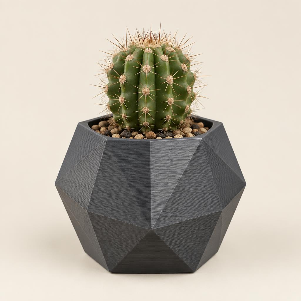 Ejemplo de estilo geométrico para maceta 3D