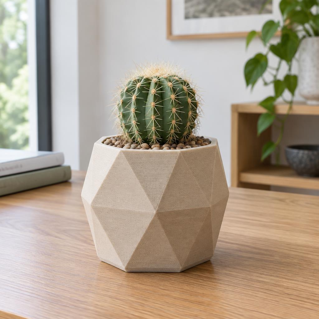 Maceta Geométrica 3D + Cactus